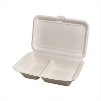 GREENHORN Zuckerrohr-Klappdeckel-Behälter 25 x 16,5 x 6,1 cm, 2 Kammern (50 Stück) href=