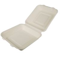 PURE Menüboxen Zuckerrohr ungeteilt 25,5 x 25,5 x 8 cm - Weiß (5 x 25Stück) href=