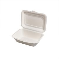 GREENHORN Zuckerrohr-Klappdeckel-Behälter 19,1 x 13,6 x 5,9 cm, rechteckig, 1 teilig (50 Stück) href=