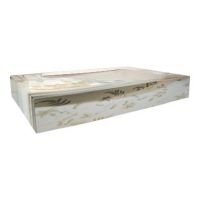 Transportkarton Partyplatte 46 x 31 x 8 cm href=