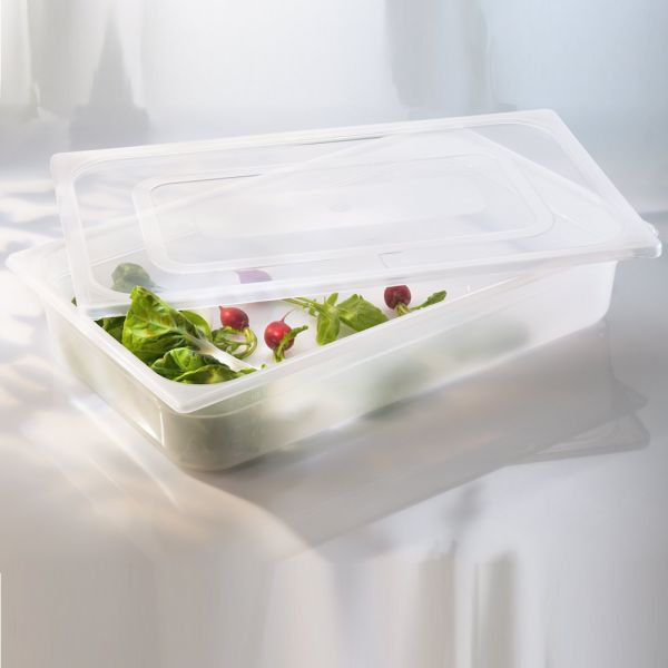 Pioneer Plastics 048C Kunststoffbehälter – 2 Stück, Transparent, 9,5x9,5x21 Cm, Ideal Zur Aufbewahrung