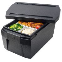 GN 1/1 DELUXE Thermobox - Nutzhöhe 26 cm href=